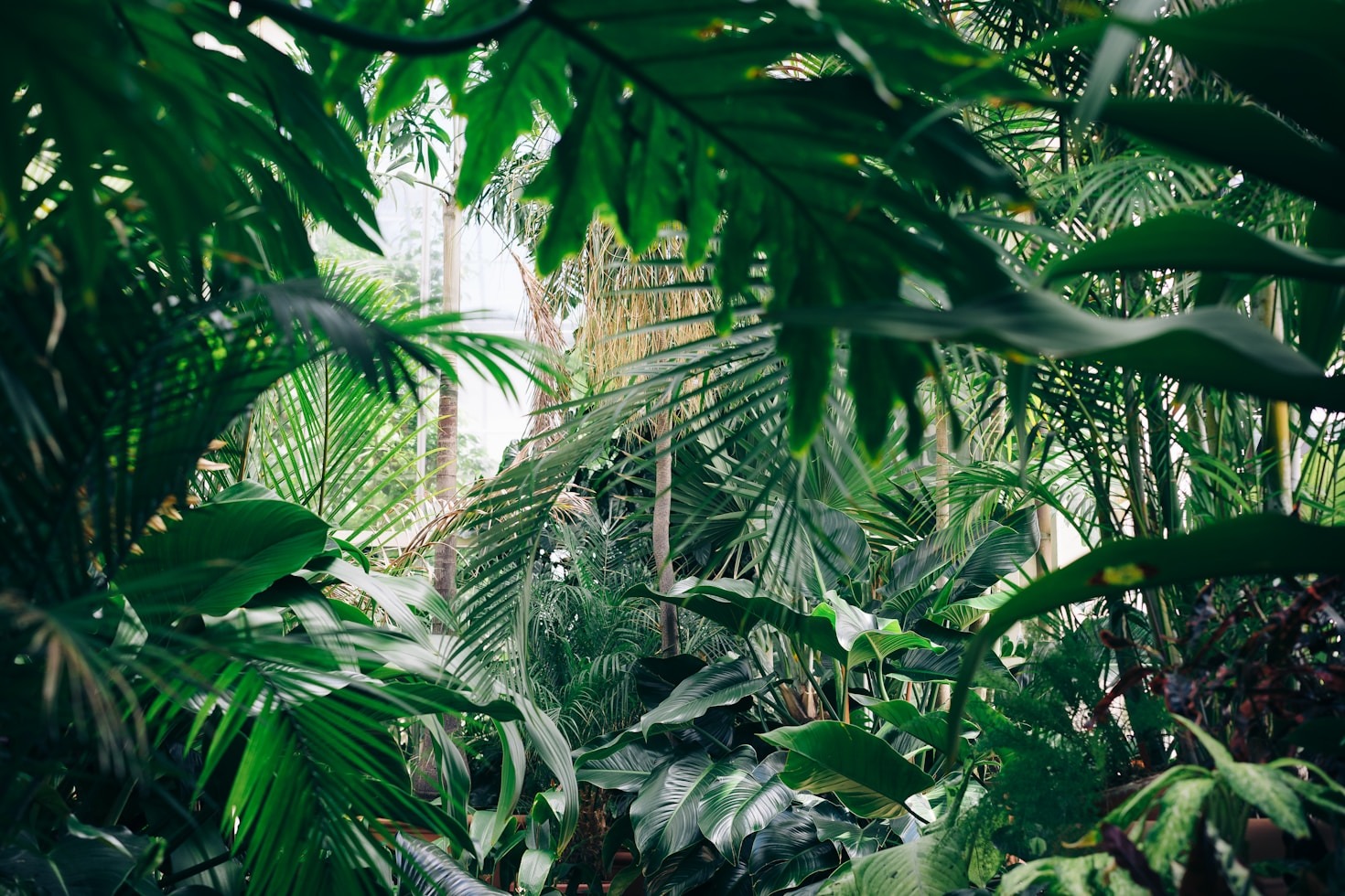 Mindful Gardening: Cultivating Peace and Growth